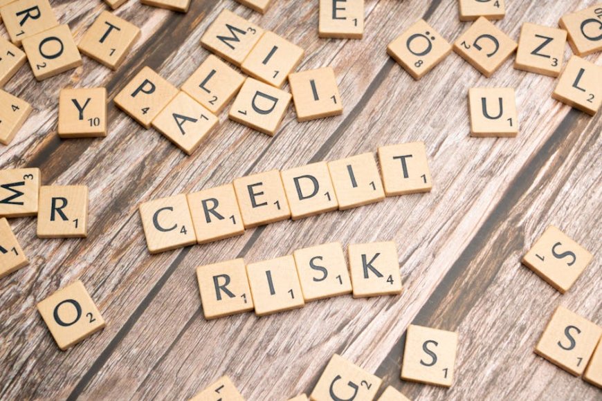 Eksposur Oaktree ke Software dan Direct Lending Tetap Kecil