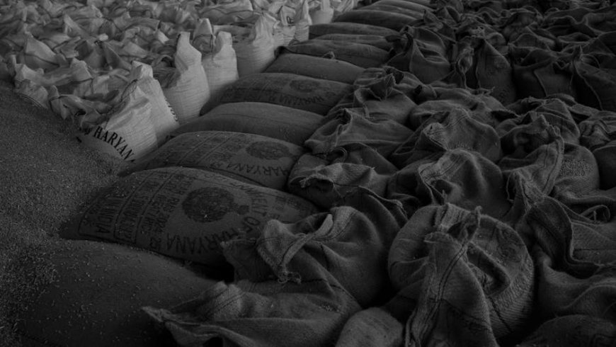 Dampak Perang Iran pada Harga Pupuk dan Biaya Bahan Bakar Pertanian