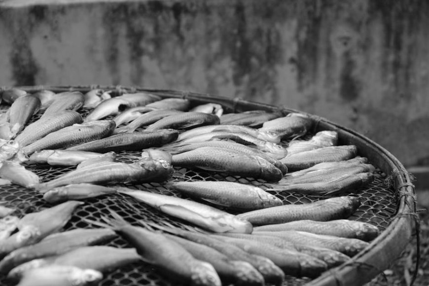 NasDem DKI Desak Pemusnahan Ikan Sapu-sapu Ketat Cegah Kembali ke Pasar