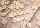 Private Credit Jadi Pelindung Saat Volatilitas Meningkat