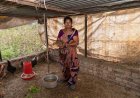 Komunitas TernakMU Turi Gagas Patungan Ayam Petelur untuk Ekonomi Umat