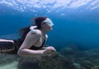 Subnautica 2 Early Access di GeForce NOW Ini yang Perlu Kamu Tahu