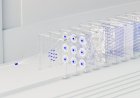 NVIDIA dan Ineffable Bangun Infrastruktur Reinforcement Learning Masa Depan