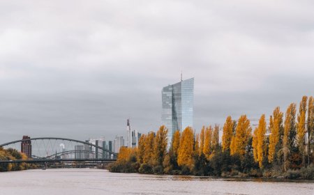 ECB Belum Naikkan Suku Bunga Karena Dashboard Data Lane