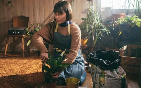 Netflix Rilis Acara Berkebun Ini untuk Hiburan Nyaman