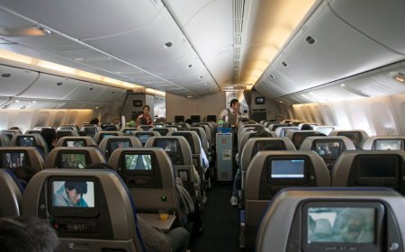 United Tambah Peacock Gratis di WiFi Pesawat untuk Penumpang
