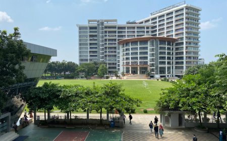 UGM Tembus Top Dunia Ilmu Studi Pembangunan dan Ilmu Politik