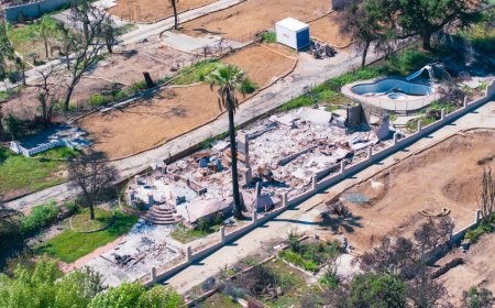California Tuntut Denda State Farm Soal Klaim Kebakaran LA