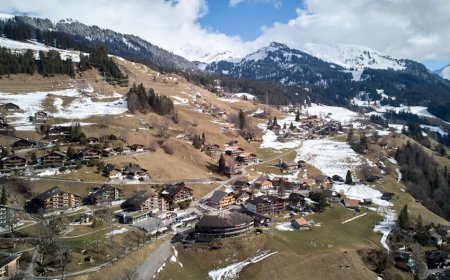 Kampanye Cadangan Bitcoin Swiss Gagal Lanjut karena Tanda Tangan