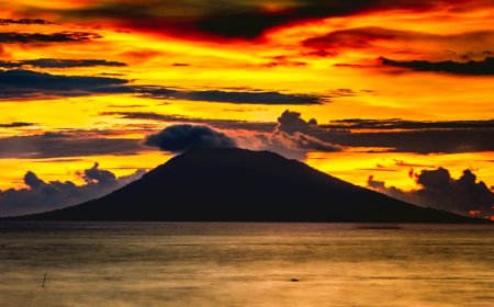 Ekonomi NTB Awal 2026 Ditopang Pertanian dan Smelter Kuat