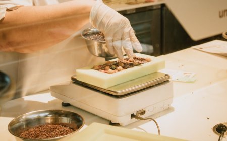 Mitos Transparansi Berat Cokelat dan Dampaknya ke Konsumen