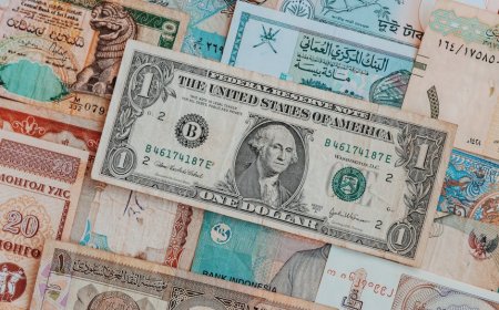 India Menimbang Skema Deposito Dolar dan Pajak Utang Asing