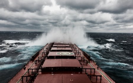Kerugian Hapag-Lloyd: Pelajaran Penting untuk Investor di Tengah Gejolak Global