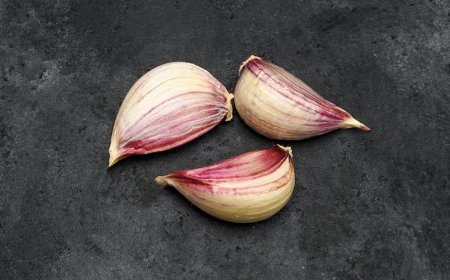 Bawang Putih Ampuh Usir Nyamuk dan Hentikan Perkembangbiakannya Secara Total