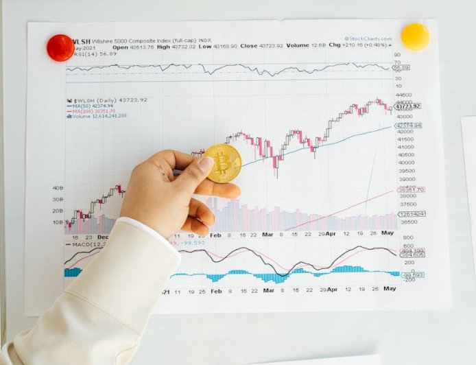 Analis Sebut Bull Trap Bitcoin Berujung Koreksi 50 Persen ke 42000