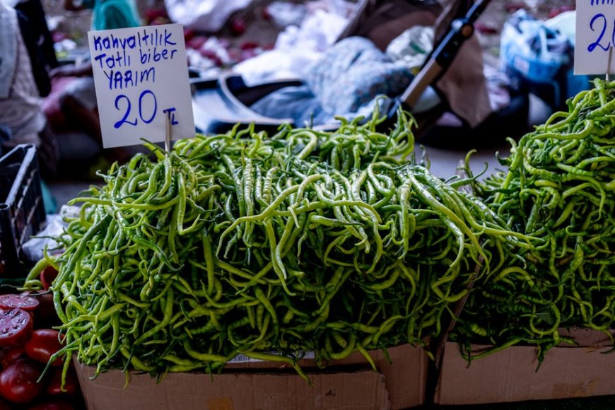 Harga Cabai Rawit Tembus Rp90 Ribu Kg Pedagang Keluhkan Pasokan